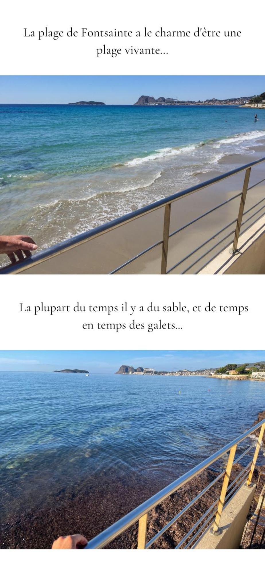 Perle Au Bord De L'eau